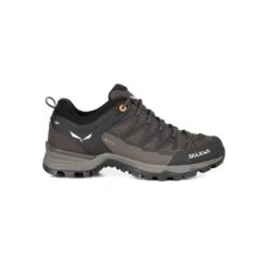Salewa Ws Mtn Trainer Lite GTX -Deuteres Shop 00 0000061362 7517 25 1280x1280