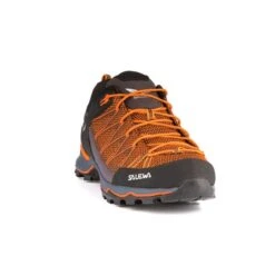 Salewa Ms Mtn Trainer Lite -Deuteres Shop 00 0000061363 3849 12 1280x1280