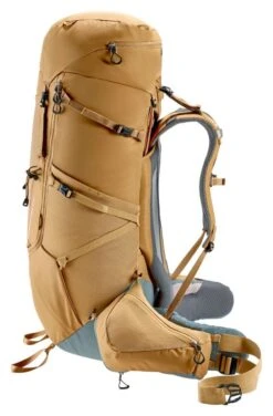 Deuter Aircontact Core 60+10 -Deuteres Shop 3350522 6318 Aircontact Core 60 10 almond D 04 1280x1280