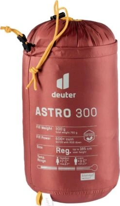 Deuter Astro 300 L -Deuteres Shop 3711121 5908 Astro300L redwood curry D 03 1280x1280