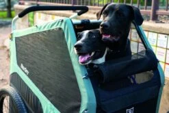 Burley Bark Ranger -Deuteres Shop SS23BarkRanger 840840014115 05 1280x1280