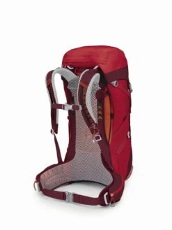 Osprey Stratos 36 -Deuteres Shop Stratos36 S22 SideBack PointsettiaRed 10004043 1280x1280